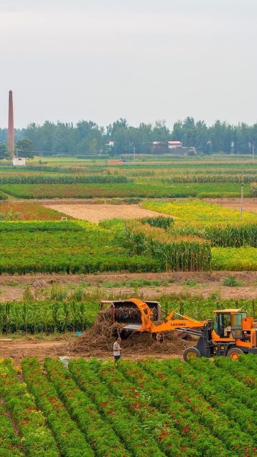 河南省農業農村廳總投資182億支持災后農業重建